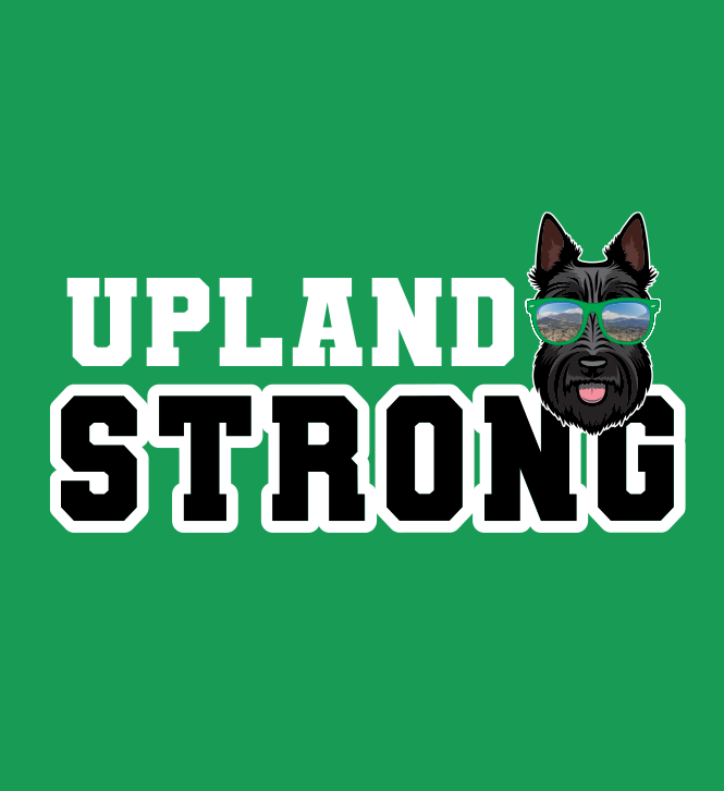 Design-4-Green-Design